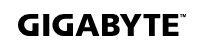 GIGABYTE AORUS 5 Gaming Laptop